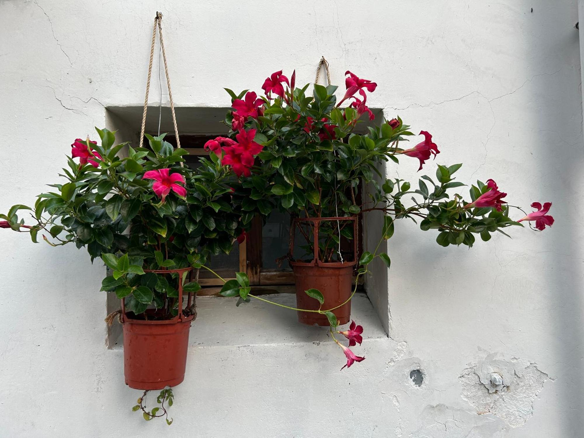 緩緩歸 Slow Living Tainan Eksteriør bilde